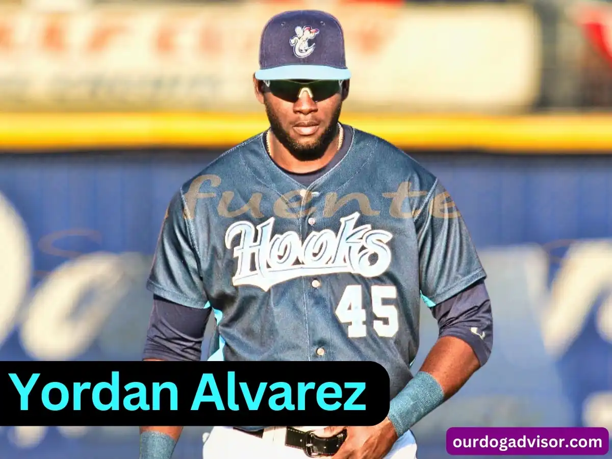 Yordan Alvarez Biography